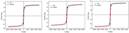 Curvas de magnetizaci&oacute;n a temperatura ambiente de NPM de magnetita sintetizadas por co-precipitaci&oacute;n qu&iacute;mica