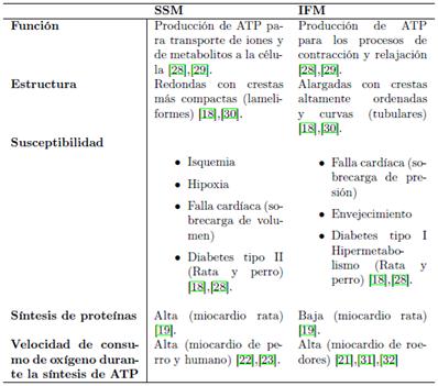 Diferencias encontradas entra las subpoblaciones mitocondriales card&iacute;acas (SSM e IFM) 