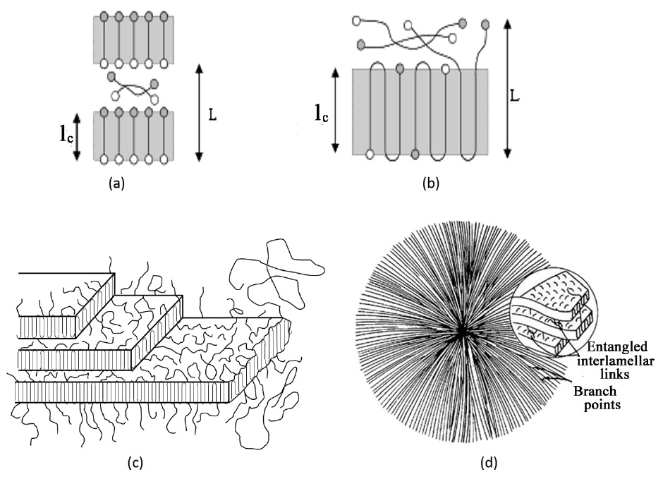 (a) lamellae of extended chain; (b) lamellae of folded chain 62; (c) fibrils - packaging of lamellae [65] and (d) spherulite - showing fibrils and lamellae 66.