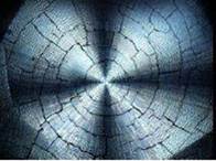 PHB spherulites seen with optic microscopy 67.