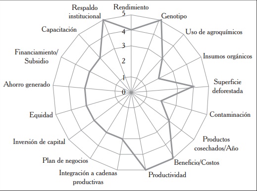 Representación de la sustentabilidad del sistema de producción chile jalapeño, en la región Constitución, Calakmul, Campeche.