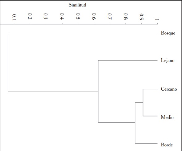 An&aacute;lisis de agrupamiento, basado en el &iacute;ndice de similitud de Bray-Curtis, para los lotes presentes en el sistema silvopastoril (Borde, Cercano, Medio y Lejano con relaci&oacute;n al Bosque) y para el sistema natural (bosque) en la RNEH.