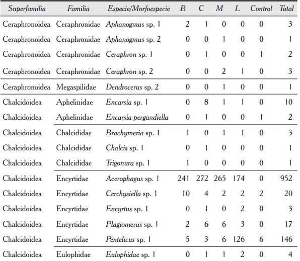 Superfamilias, familias, especies y/o morfoespecies de Hymenoptera paras&iacute;tica encontradas en el sistema silvopastoril y el bosque de la RNEH (control), con sus respectivas abundancias.