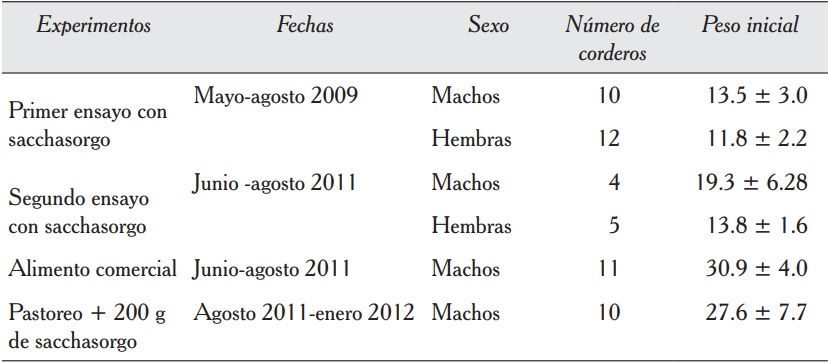 Estudios realizados con tres tipos de alimentación en la engorda de ovinos Katahdin x Pelibuey.