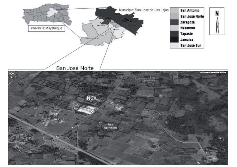 Ubicación y distribución espacial del área de estudio.