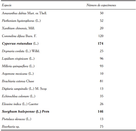 Número total de especímenes de arvenses encontradas en el experimento.