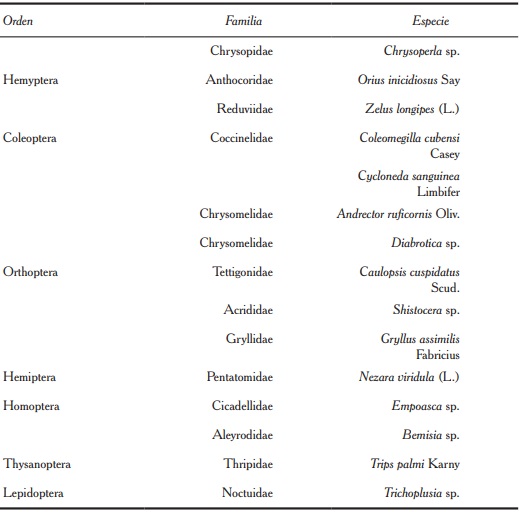 Insectos registrados en el cultivo del frijol.