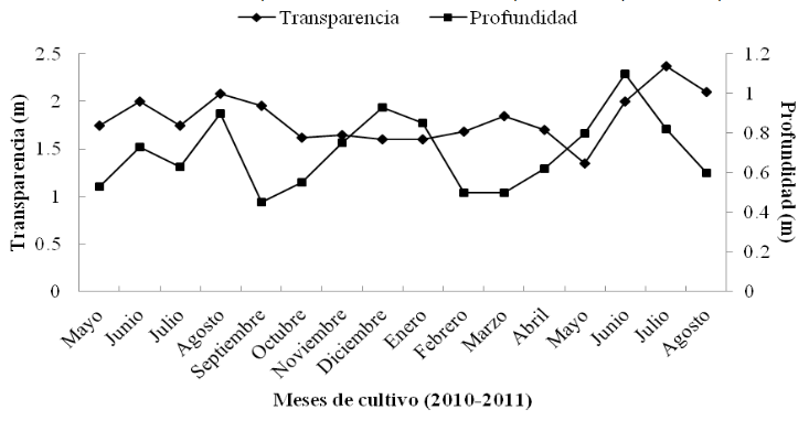 Transparencia (m)
y profundidad (m) mensual registrados 
en el cultivo de A. maura, en el estero La Piedra, Guasave, Sinaloa,
México.