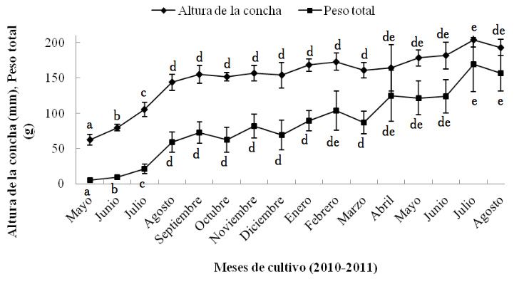 Altura de la
concha (mm) y peso total (g) de A. maura registrados mensualmente
durante su cultivo en el estero La Piedra, Guasave, Sinaloa, México.