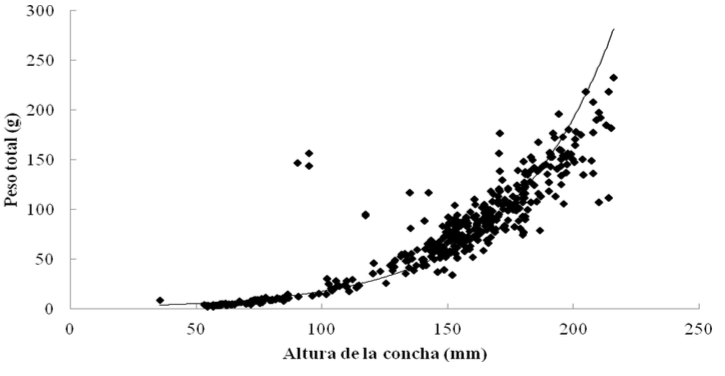 Relación morfométrica entre la altura de la concha y el peso total 
de A. maura cultivado en el estero La Piedra, Guasave, Sinaloa, México.