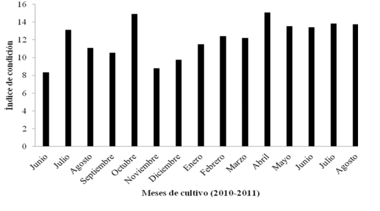 Índice de condición de A. maura registrado mensualmente durante su
cultivo en el estero La Piedra, Guasave, Sinaloa, México.