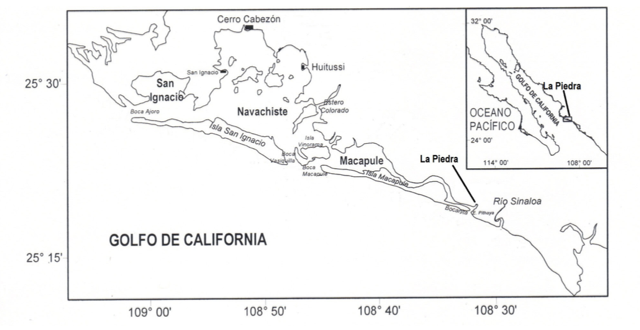 Localización del
sitio de cultivo de A. maura en el estero La Piedra, Sinaloa, México.