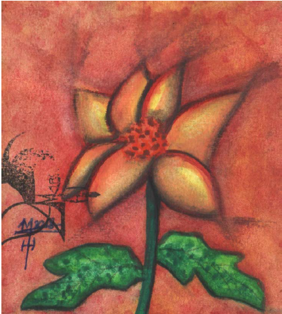 Tithonia Diversofilia