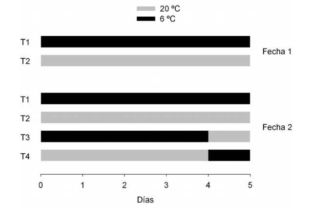 Esquema de
las temperaturas a las cuales fueron expuestas las brindillas de duraznero,
previamente a la simulación de helada.