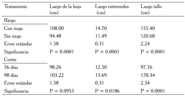 Medias de cuadrados mínimos y errores estándar para largo de las hojas, entrenudos y tallo según edad y aplicación de riego.
