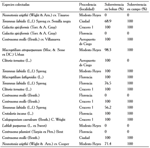 Sobrevivencia de las plántulas de las accesiones colectadas.