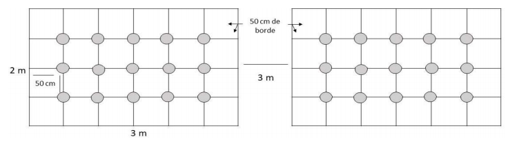 Dise&ntilde;o de los cuadros con el arreglo de las plantas de ma&iacute;z. Los c&iacute;rculos grises representan las plantas.