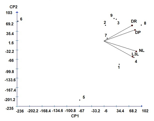 An&aacute;lisis de componentes principales a partir de caracteres vegetativos en genotipos de maxixe