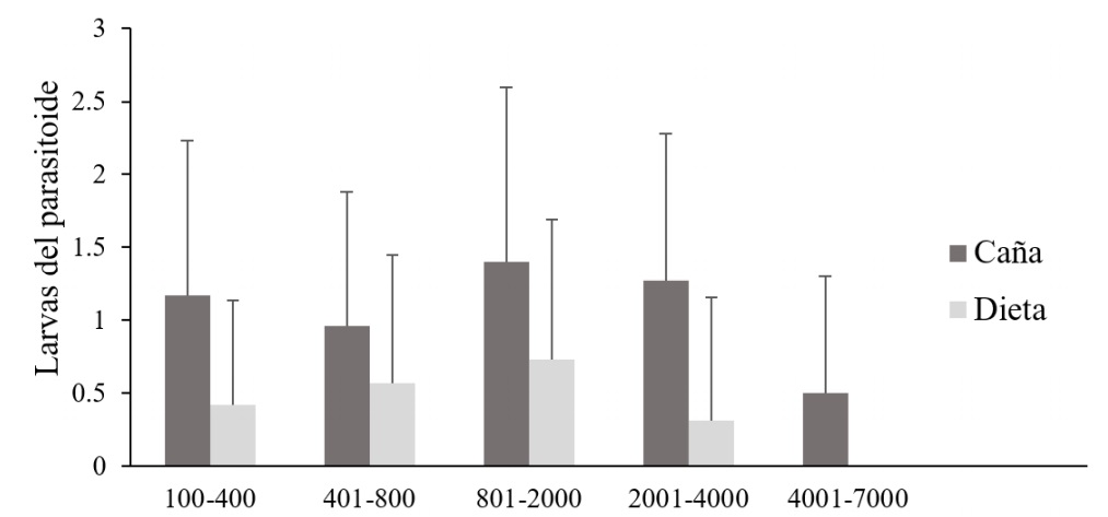 Promedio de larvas de Billaea claripalpis recuperadas dos semanas despu&eacute;s de parasitar manualmente larvas de Rhynchohporus palmarum de diferente peso con tres planidios del parasitoide
