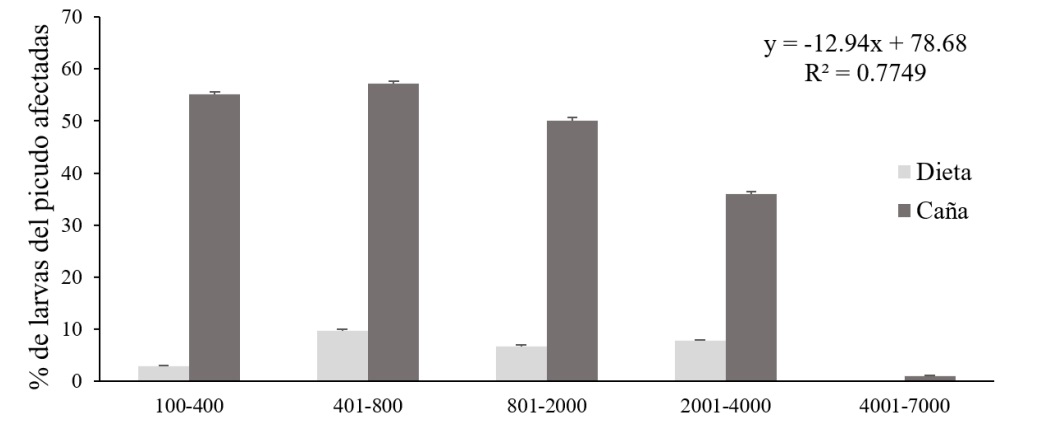 Porcentaje de larvas de Rhynchohporus palmarum criadas en ca&ntilde;a de az&uacute;car y dieta artificial, afectadas despu&eacute;s de ser parasitadas manualmente con tres planidios de Billaea claripalpis. La ecuaci&oacute;n presentada en la figura corresponde a larvas criadas en ca&ntilde;a