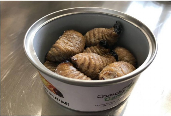 Conocidas como Sago Worms, las larvas de R. palmarum se ofertan en el mercado preprocesadas y enlatadas