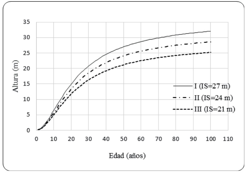 Curvas de índice de sitio (IS) para P. pseudostrobus var. oaxacana en Chiapas, México.