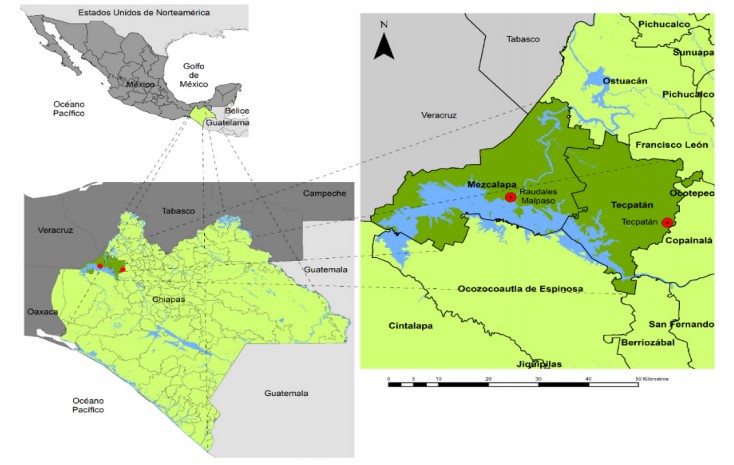 Localizacin de la zona de estudio (municipios de Tecpatn y Mezcalapa, pertenecientes a la regin Zoque de Chiapas)