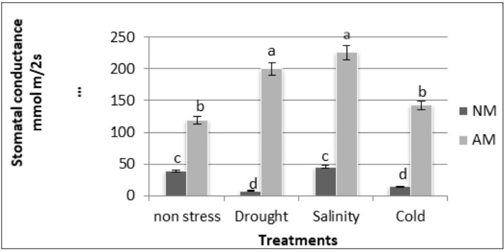 Stomatal conductance (mmol m/2s) in AM and NM plants of M. sativa under non-stress and drought, salinity and cold conditions