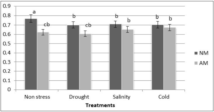 Photosynthetic efficiency in AM and NM plants of M. sativa under non-stress and drought, salinity and cold conditions