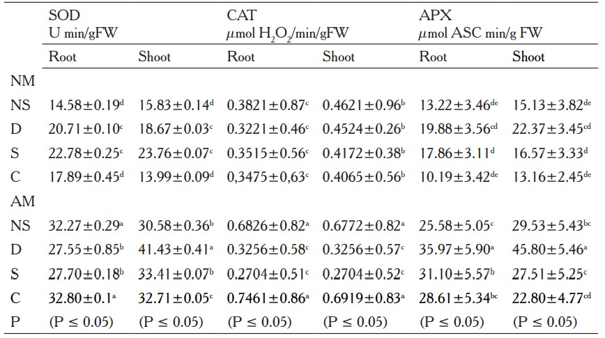 Activities of antioxidant enzymes (SOD, CAT, APX) in roots and shoots of non-mycorrhizal (NM) and mycorrhizal (AM) M. sativa plants under nonstress, drought, salt, or cold stress