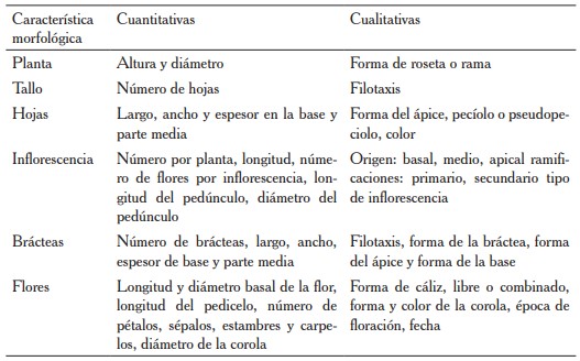 Caracteres morfolgicos cuantitativos y cualitativos utilizados en estudios de diversidad gentica en la familia Crassulaceae