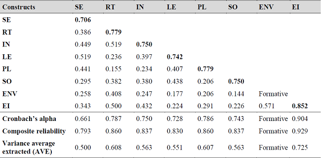 Summary of the Evaluation of Measurement Models