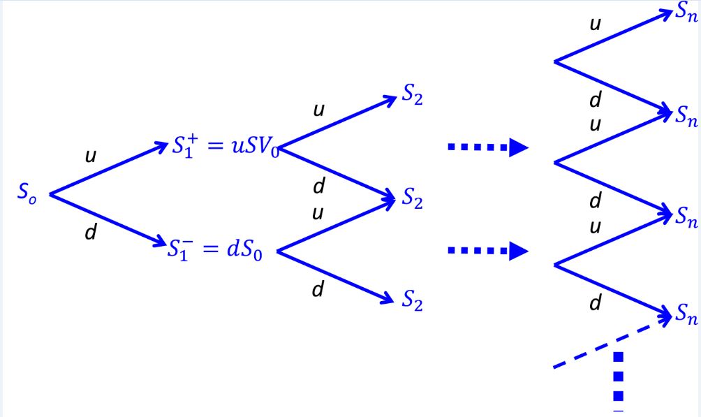 The CRR binomial lattice model.