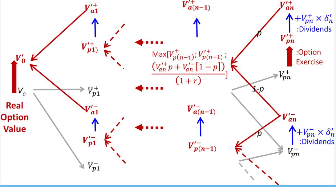 Backward discounting of the lattice for ex-post values of Vp.