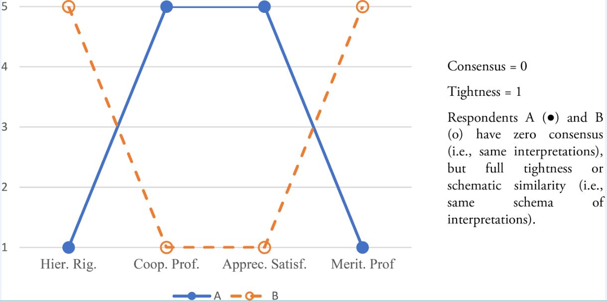 Dyad between two hypothetical cases with low consensus, but high tightness.