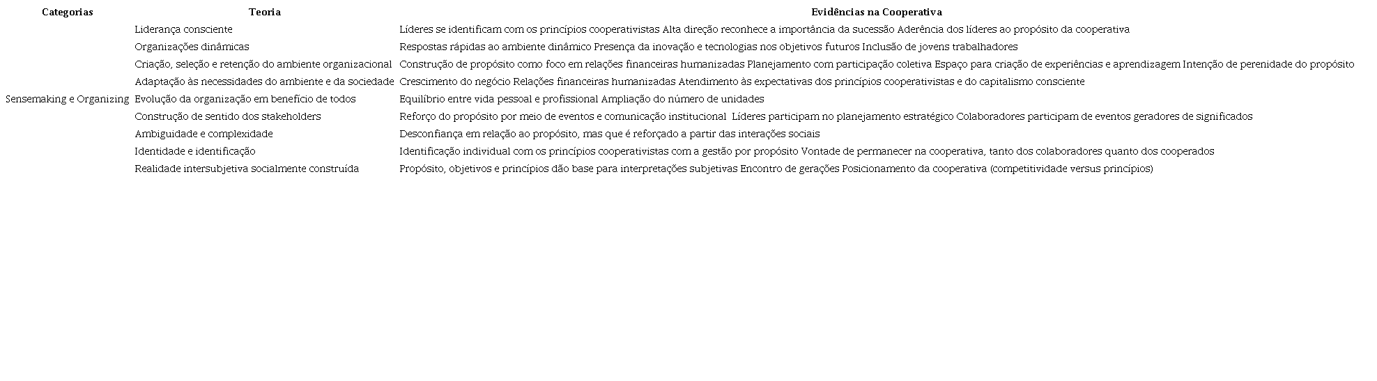Evidências de sensemaking e organizing.