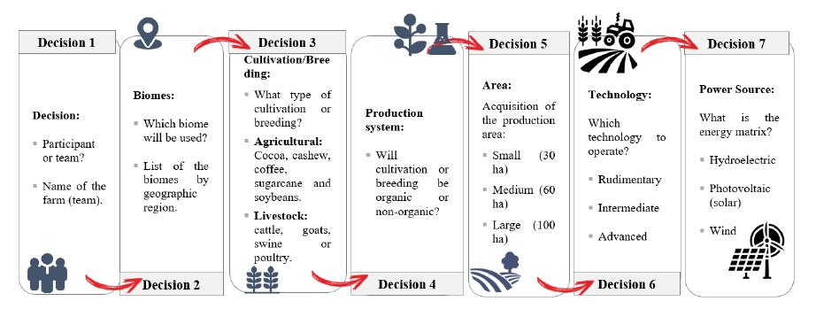 Participant setup stage decisions.