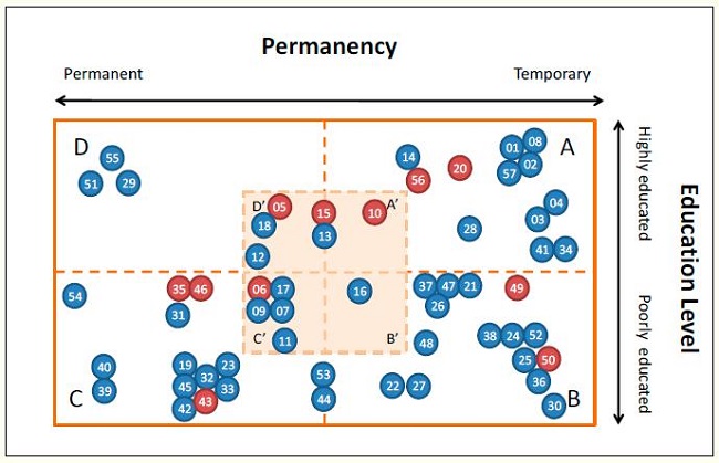 Overall representation of Brazilian Uber drivers interviewed.