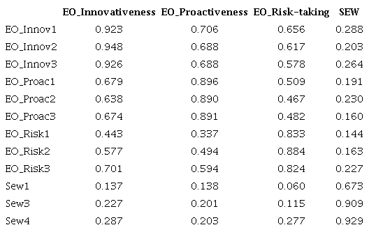 Cross loadings between the items and the construct