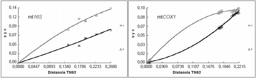 An�lisis de saturaci�n con
transiciones y transversiones para los genes 16S y
COX1. La progresi�n de saturaci�n se contrast� con las distancias
gen�ticas establecidas con el modelo de Tamura-Nei
(TN93); s: transiciones; v: transversiones 

 