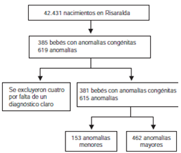 Descripci&oacute;n del proceso de selecci&oacute;n de la muestra analizada