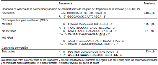 Secuencias de los iniciadores y tama&ntilde;o de los productos de amplificaci&oacute;n para la evaluaci&oacute;n del polimorfismo rs5030625 y el estado de metilaci&oacute;n del gen CDH1