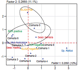 Plano 1-2 del an&aacute;lisis de correspondencias m&uacute;ltiples entre zona, sexo, especie e individuo seropositivo, y RT- PCR positiva para LCMV. En el an&aacute;lisis se muestra que hubo predominio de individuos seropositivos al emplear la prueba ELISA en la comuna 5 y que los individuos positivos detectados en la RT-PCR proven&iacute;an de las comunas 5, 6 y 7.