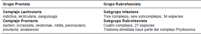 Triatoma dimidiata seg&uacute;n la clasificaci&oacute;n propuesta por Dujardin, et al., 2002
