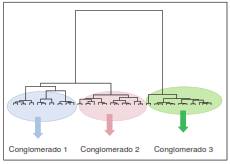 Dendrograma del an&aacute;lisis de conglomerados de los hogares del Sisb&eacute;n con presencia de menores de cinco a&ntilde;os con retraso del crecimiento en Caldas (n=4.817)