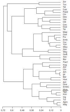 Dendrograma UPGMA basado en las frecuencias de haplogrupo de las diferentes poblaciones amerindias de Centroam&eacute;rica, Suram&eacute;rica y Colombia. Los nombres clave de las abreviaturas est&aacute;n indicados en par&eacute;ntesis: Chib Chibcha), Cub (Cubeo), Pae2 (P&aacute;ez 2), Map (Mapuche), Des (Desano), Cur (Curripaco), Way (Wayuu), Gua (Guane), Wau (Waunana), Ing (Ingano), Yun (Yungay), Tul (Tule-Cuna), Tuc (Tucano), Emb (Embera), Ant (Antioquia), May (Maya), Emb (Embera), Tat (Tatuyo), Zen (Zenu), Agro (Agroalfarero), Pui (Puinave), Que (Quecua), Yan (Yanomami), Zor (Zoro), Cib (Ciboney), Cau (Cauca), Pae1 (P&aacute;ez 1), GuB (Guane-Butar), Muis (Muisca), Bor (Boruca), Hue (Huetar), Ng&ouml; (Ng&ouml;be), Gua (Guambiano), Ars (Arsario), Kun (Kuna), Tai (Tainos), Kog (Kogui), Xav (Xavante), Arh (Arhuaco), Ijk (Ijka), Chi (Chimila).