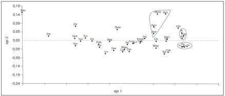 An&aacute;lisis de los componentes principales (PCA) basado en datos del FST de poblaciones de Colombia, Centroam&eacute;rica y Suram&eacute;rica para haplogrupos de ADNmt. Los nombres claves de las abreviaturas est&aacute;n indicados en par&eacute;ntesis: Chib (Chibcha), Cub (Cubeo), Pae2 (P&aacute;ez 2), Map (Mapuche), Des (Desano), Cur (Curripaco), Way (Wayuu), Gua (Guane), Wau (Waunana), Ing (Ingano), Yun (Yungay), Tul (Tule-Cuna), Tuc (Tucano), Emb (Embera), Ant (Antioquia), May (Maya), Emb (Embera), Tat (Tatuyo), Zen (Zen&uacute;), Agro (Agroalfarero), Pui (Puinave), Que (Quecua), Yan (Yanomami), Zor (Zoro), Cib (Ciboney), Cau (Cauca), Pae1 (P&aacute;ez 1), GuB (Guane-Butar), Muis (Muisca), Bor (Boruca), Hue (Huetar), Ng&ouml; (Ng&ouml;be), Gua (Guambiano), Ars (Arsario), Kun (Kuna), Tai (Tainos), Kog (Kogui), Xav (Xavante), Arh (Arhuaco), Ijk (Ijka), Chi (Chimila).