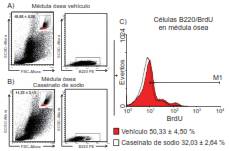 A y B. El tratamiento intraperitoneal con caseinato de sodio aument&oacute; el porcentaje de c&eacute;lulas correspondiente al linaje linfoide en bazo, as&iacute; como la incorporaci&oacute;n de BrdU. Se presentan los diagramas de puntos representativos de las c&eacute;lulas mononucleares totales provenientes de ratones tratados solo con el veh&iacute;culo y de aquellos tratados con caseinato de sodio. La selecci&oacute;n se hizo mediante la evaluaci&oacute;n de la granularidad y el tama&ntilde;o de la regi&oacute;n correspondiente al linaje linfoide y de la positividad frente al anticuerpo B220 de las c&eacute;lulas seleccionadas previamente de la regi&oacute;n correspondiente al linaje. C. Evaluaci&oacute;n del porcentaje de incorporaci&oacute;n de BrdU en c&eacute;lulas B220 positivas provenientes de c&eacute;lulas 