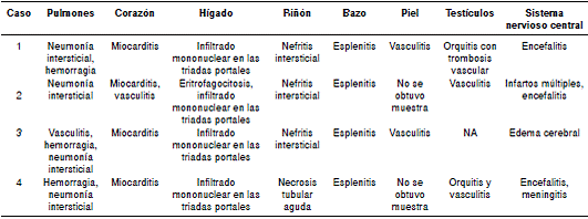 Hallazgos de las autopsias practicadas a pacientes con fiebre maculosa por Rickettsia rickettsii, Sonora, M&eacute;xico, 2004-2016