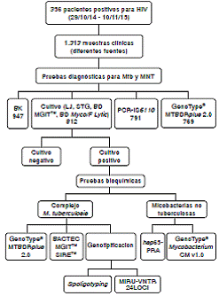 Esquema metodol&oacute;gico del procesamiento de muestras